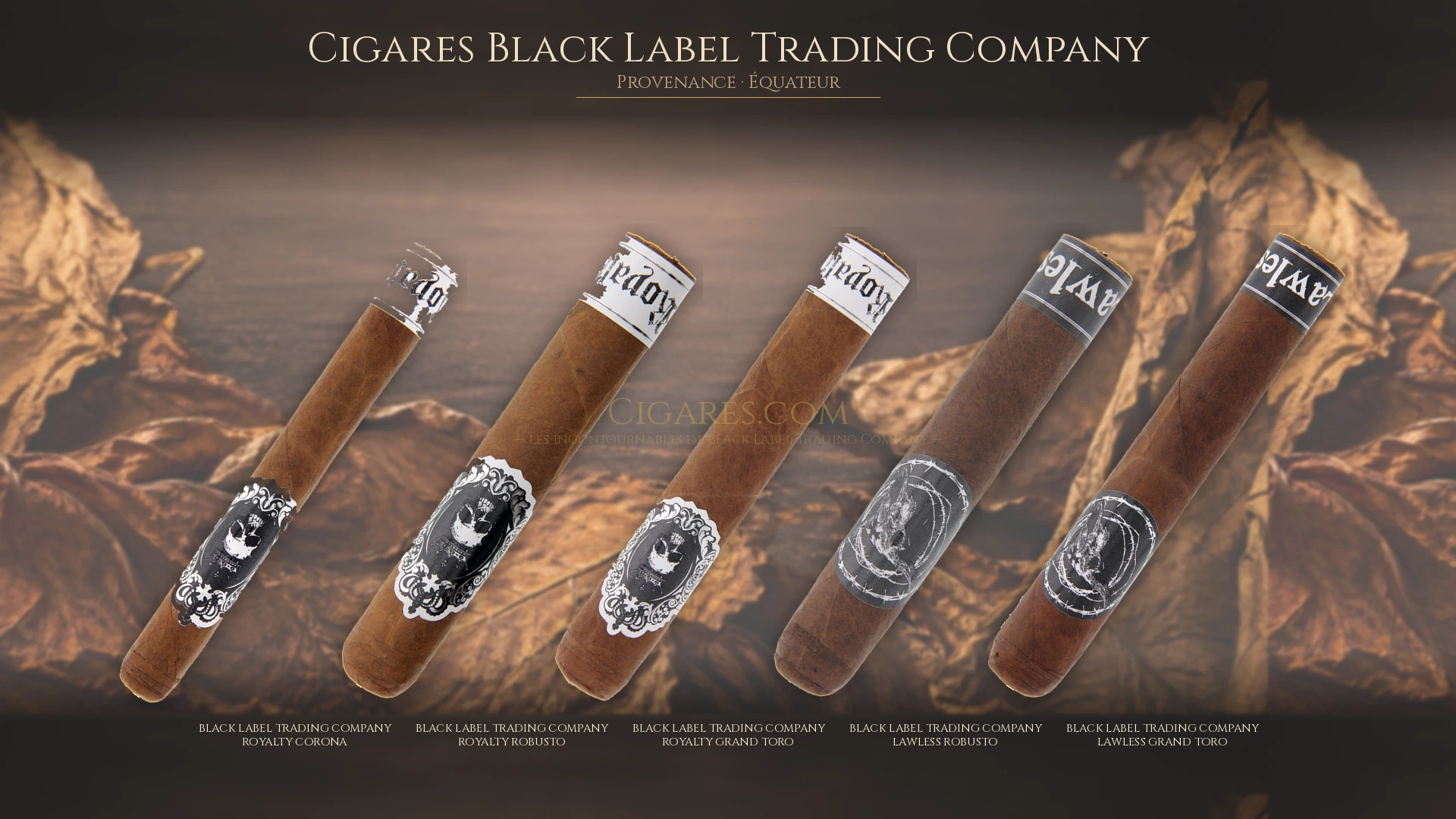 Top 5 cigares Black Label Trading Company — les plus populaires