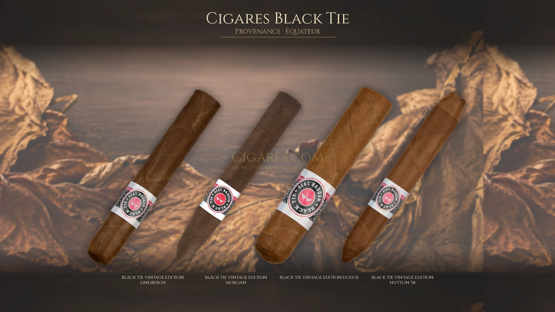 Top 5 cigares Black Tie — les plus populaires