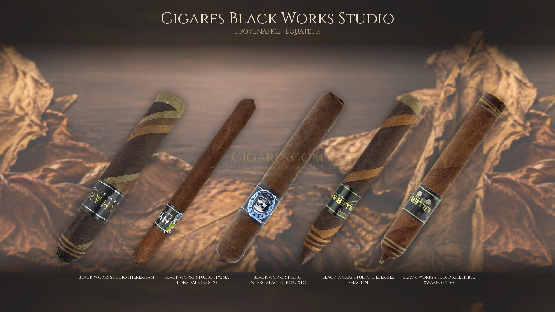 Top 5 cigares Black Works Studio — les plus populaires