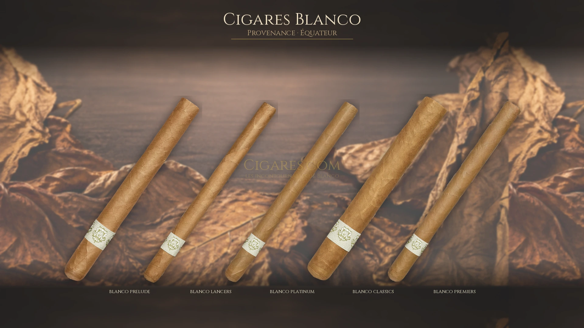 Top 5 cigares Blanco — les plus populaires