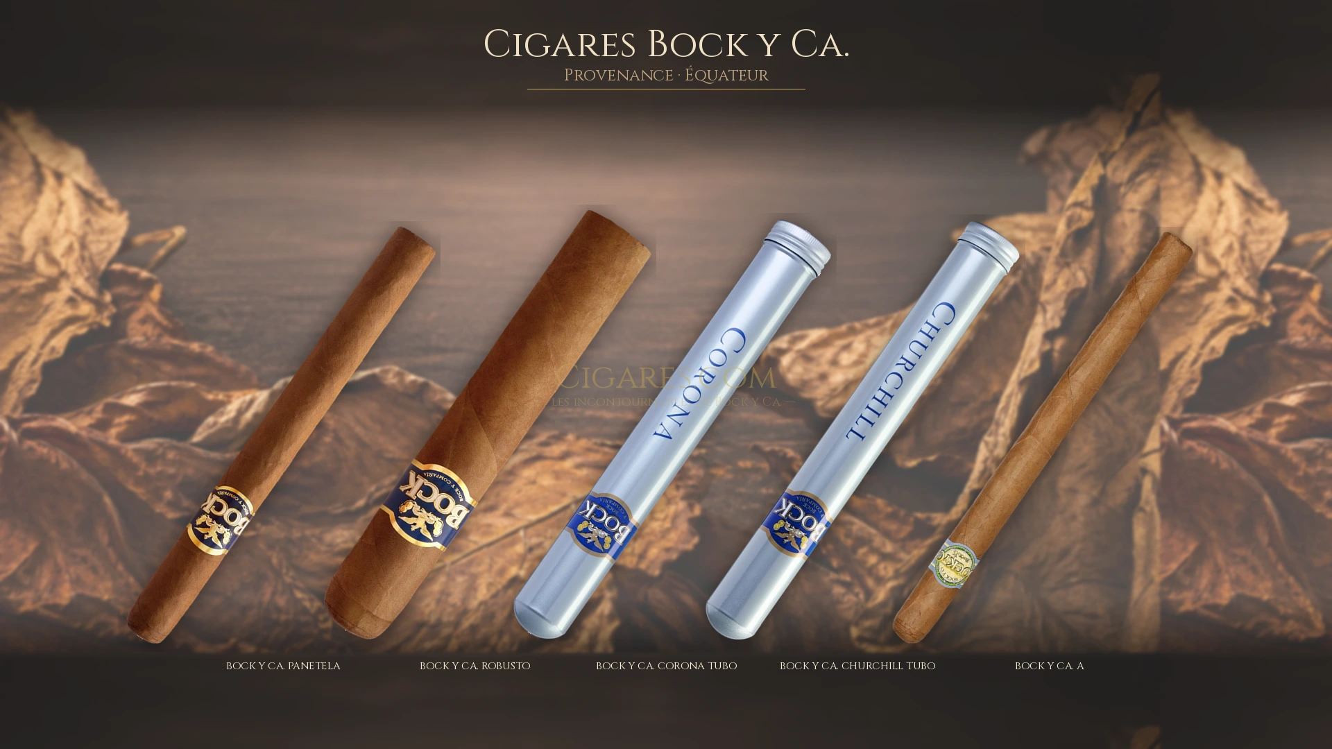 Top 5 cigares Bock y Ca. — les plus populaires