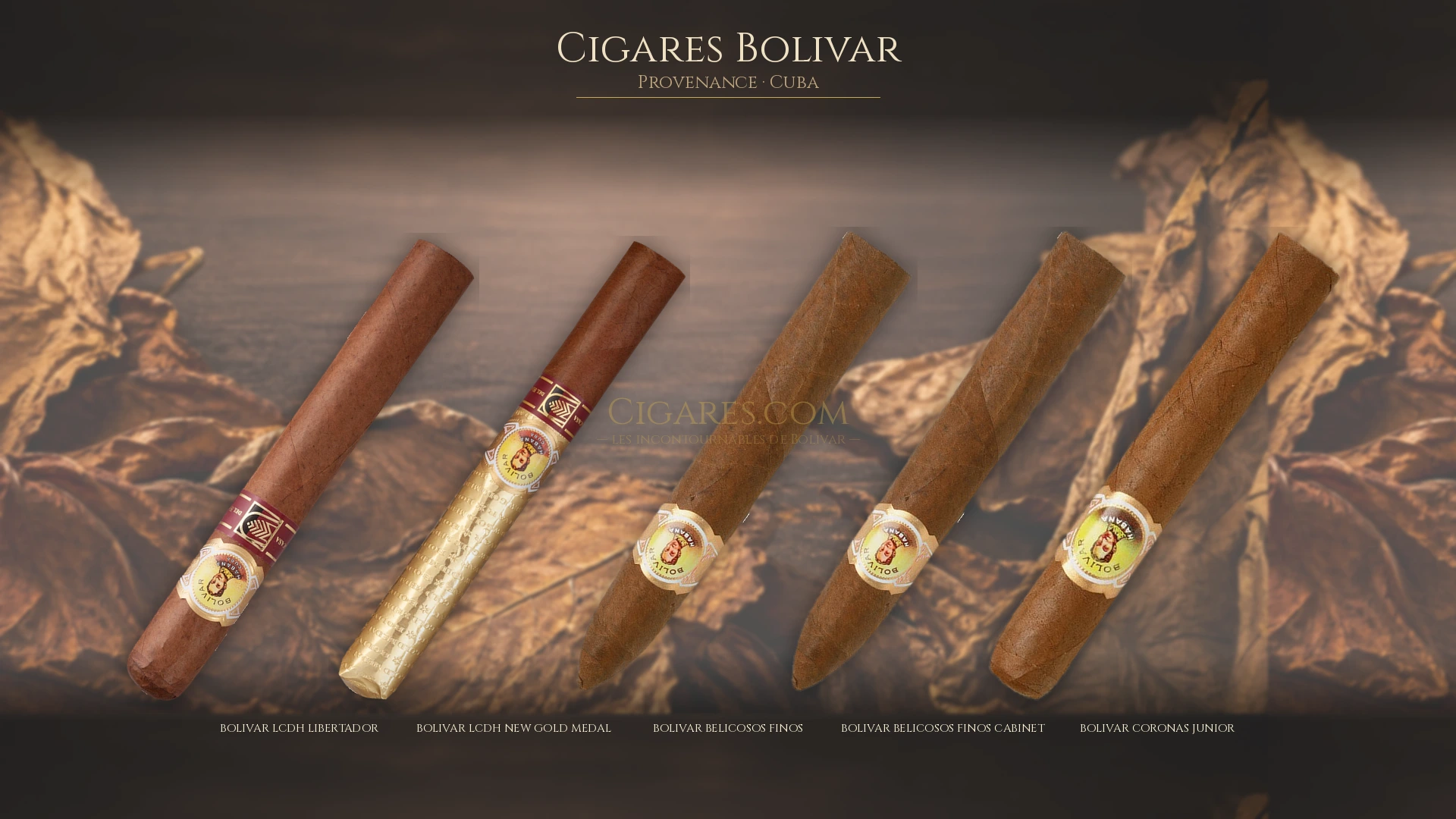 Top 5 cigares Bolivar — les plus populaires