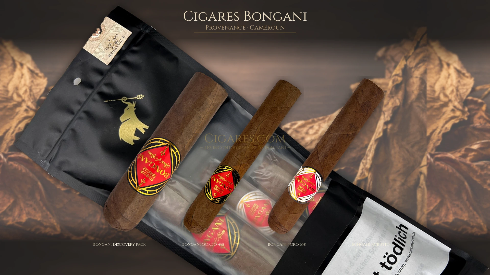 Top 5 cigares Bongani — les plus populaires