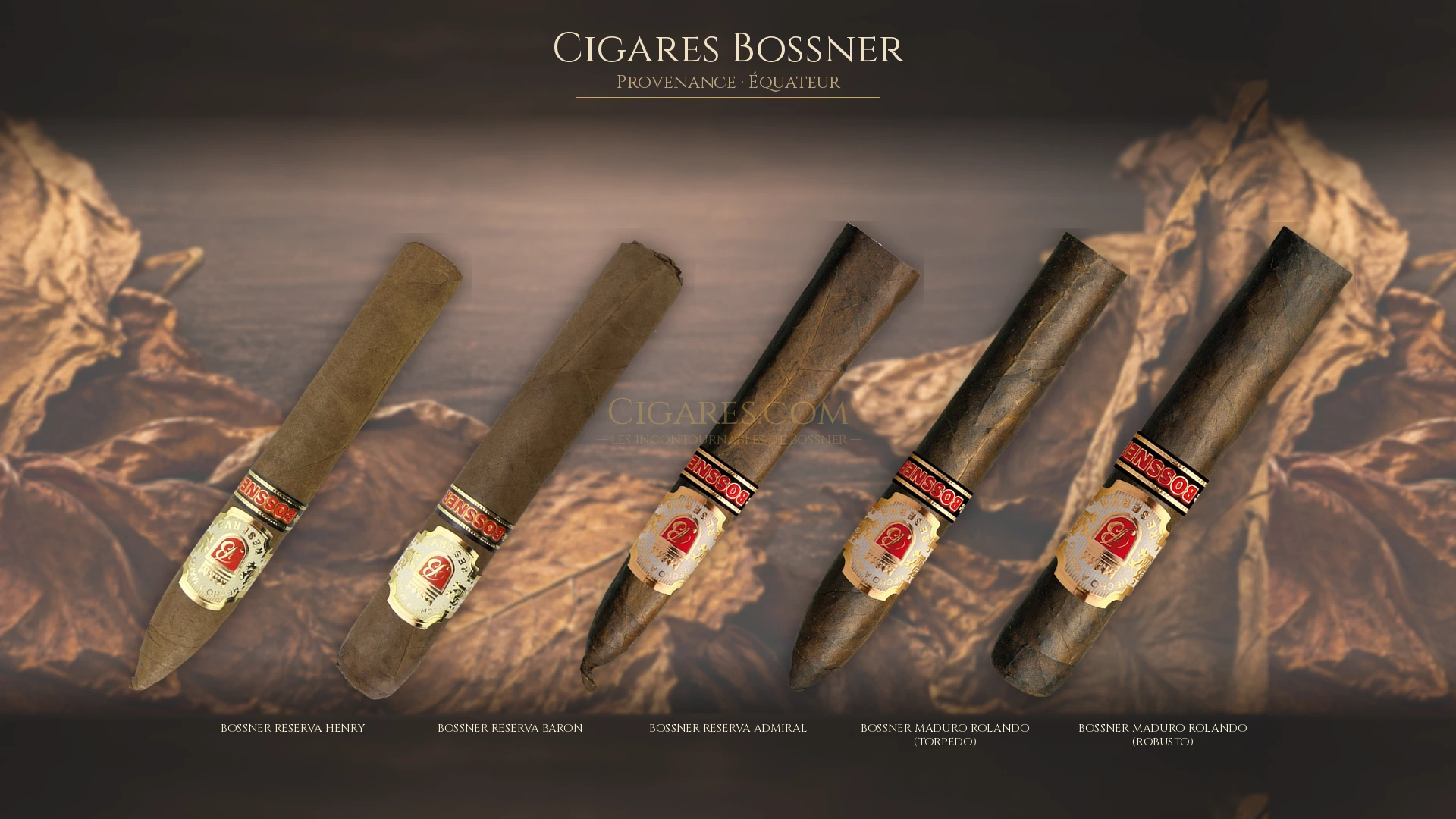 Top 5 cigares Bossner — les plus populaires
