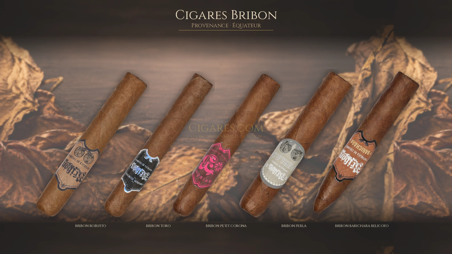 Top 5 cigares Bribon — les plus populaires
