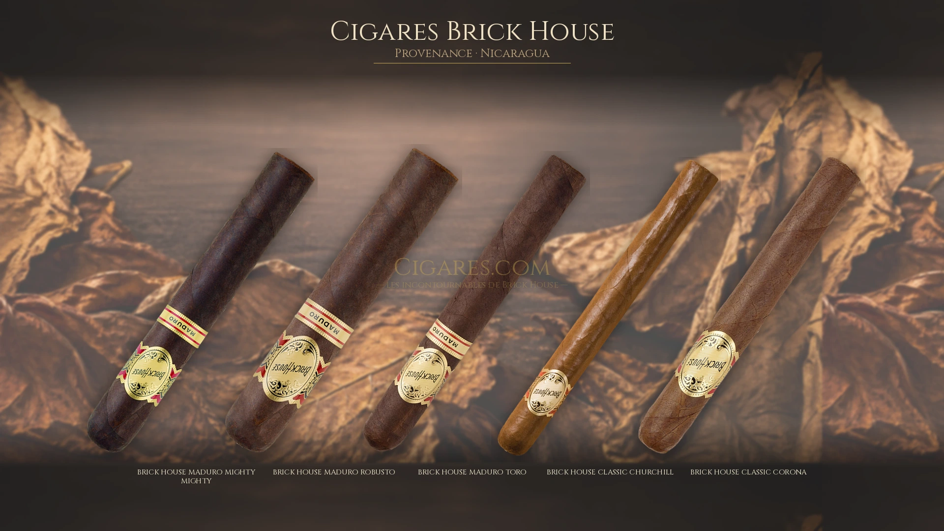 Top 5 cigares Brick House — les plus populaires