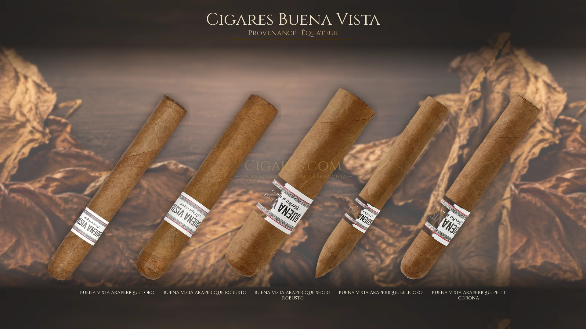 Top 5 cigares Buena Vista — les plus populaires