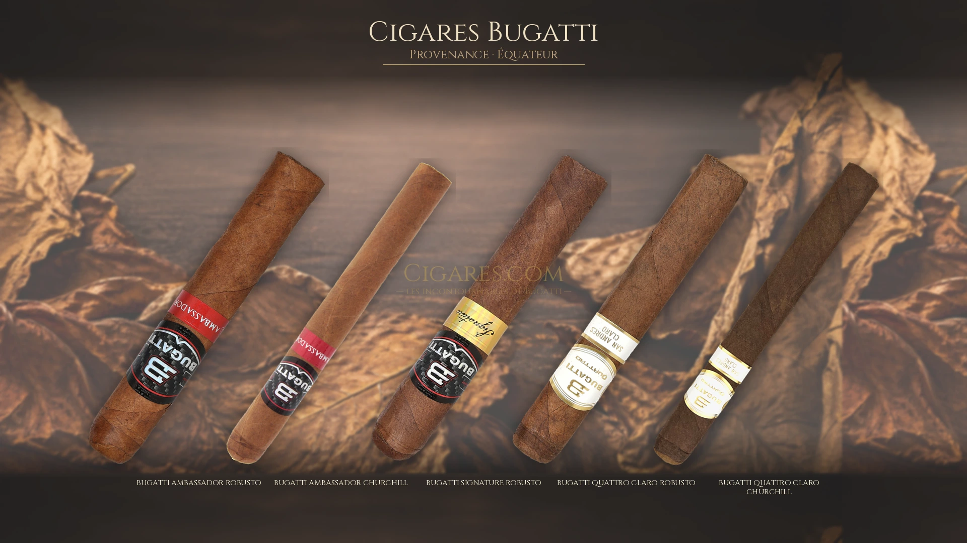 Top 5 cigares Bugatti — les plus populaires