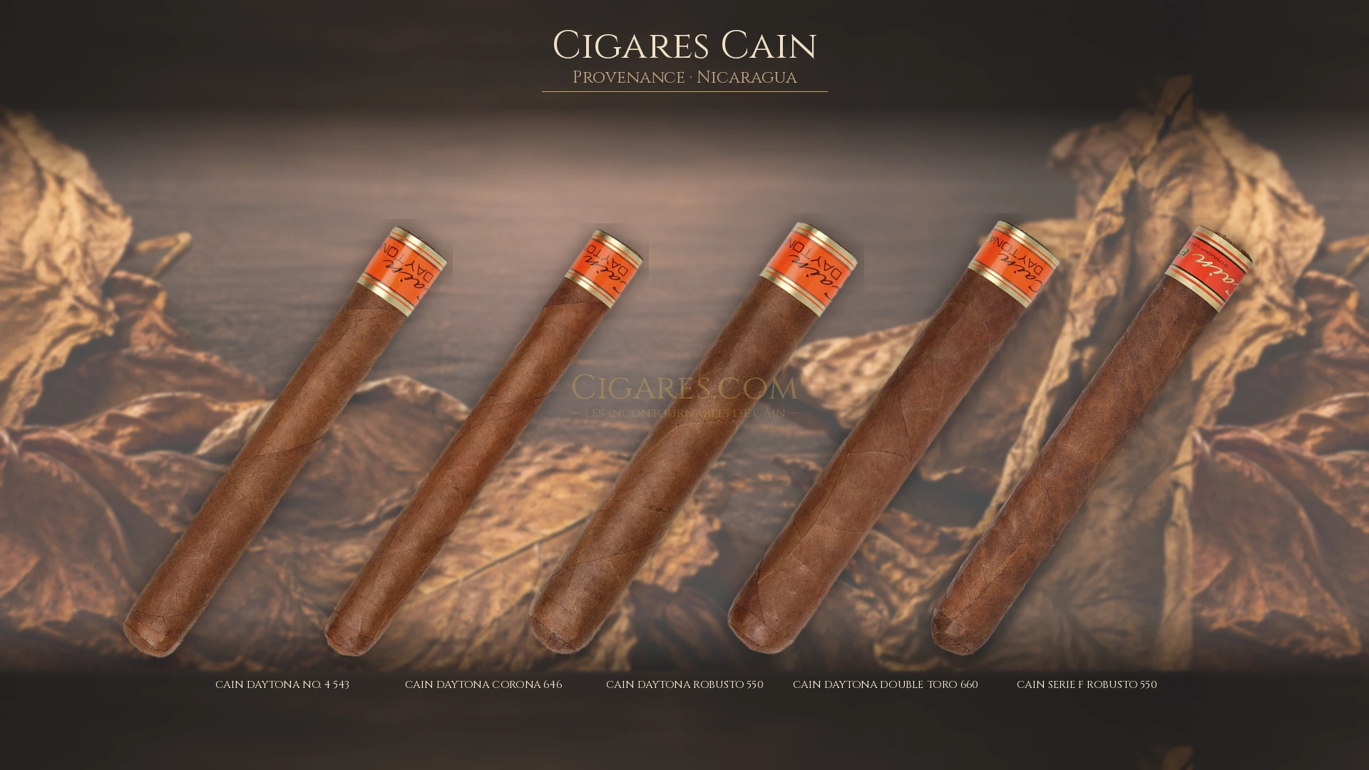 Top 5 cigares Cain — les plus populaires