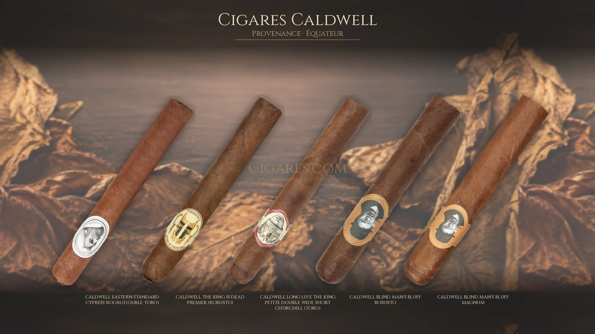 Top 5 cigares Caldwell — les plus populaires
