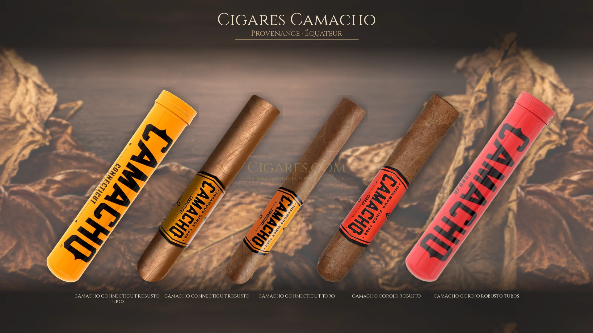 Top 5 cigares Camacho — les plus populaires