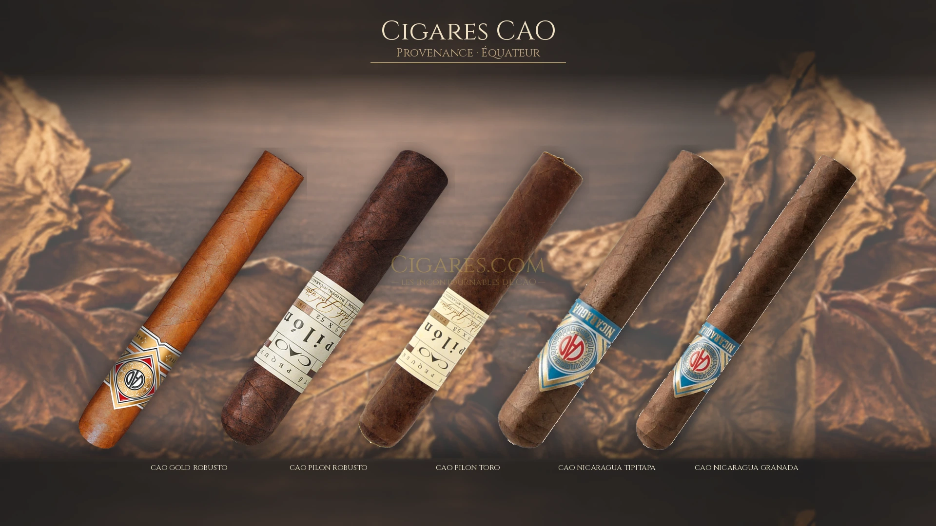 Top 5 cigares CAO — les plus populaires