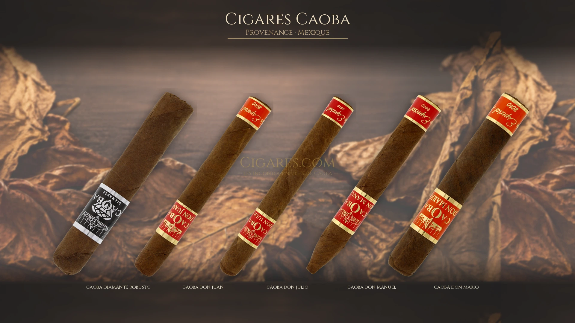 Top 5 cigares Caoba — les plus populaires