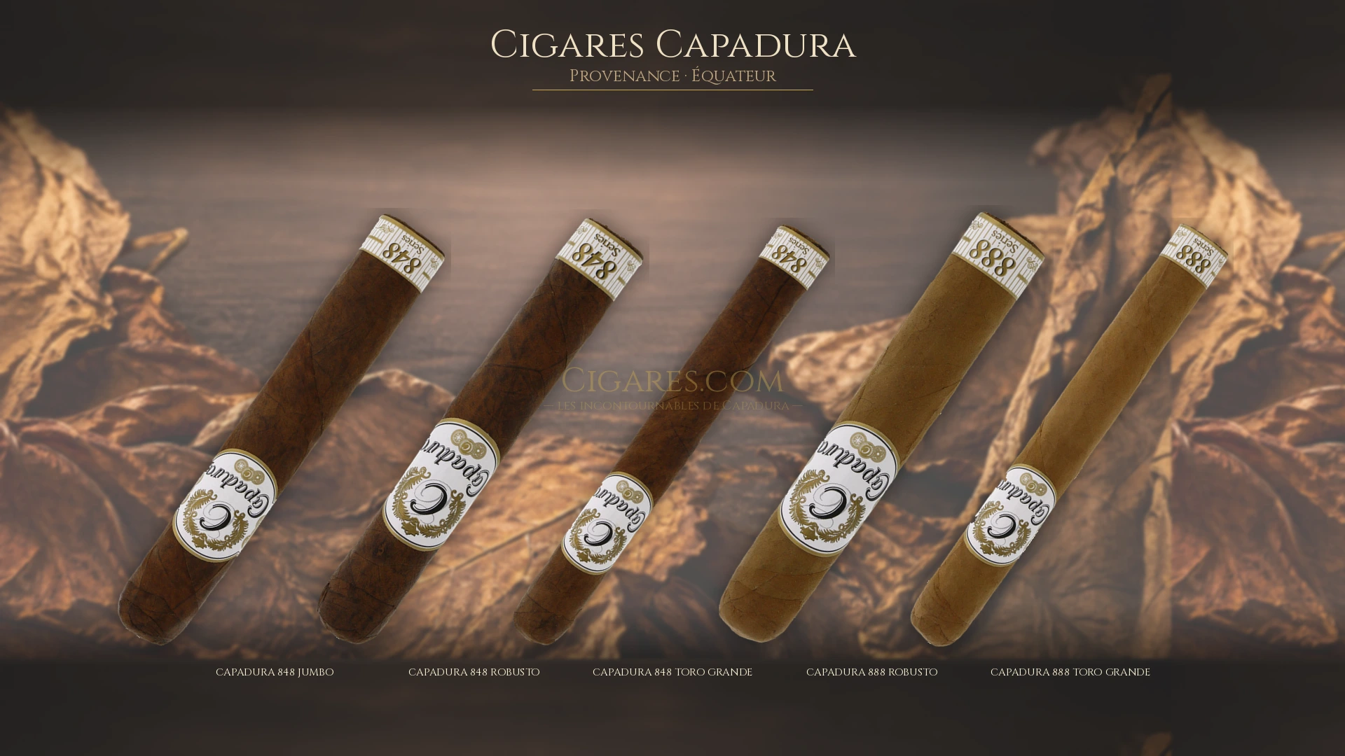 Top 5 cigares Capadura — les plus populaires
