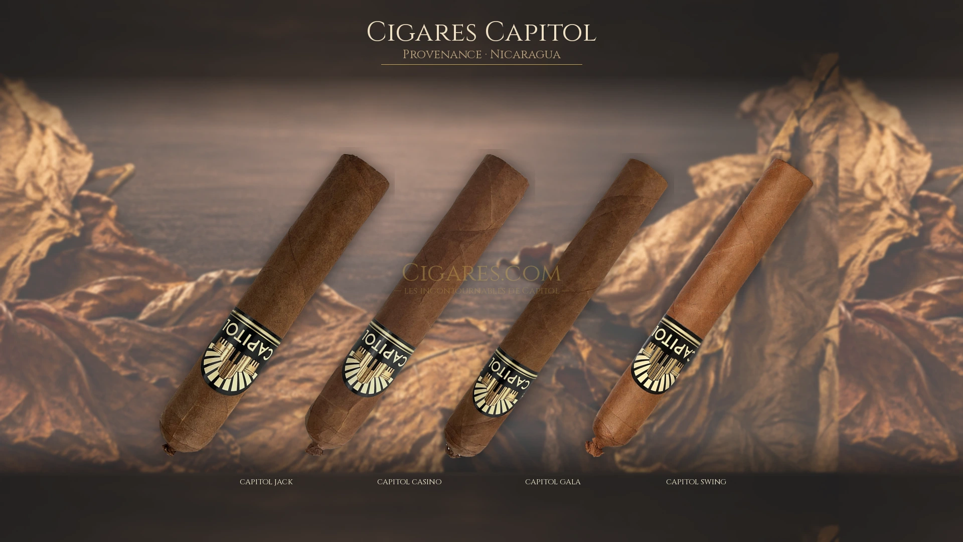 Top 5 cigares Capitol — les plus populaires