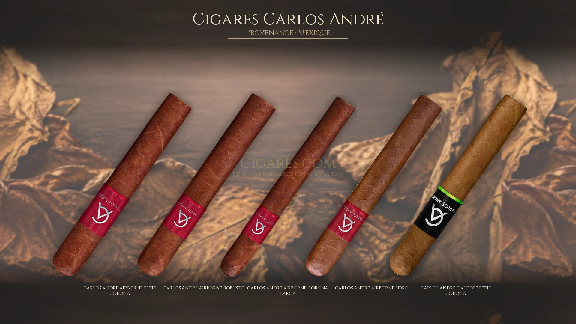 Top 5 cigares Carlos André — les plus populaires