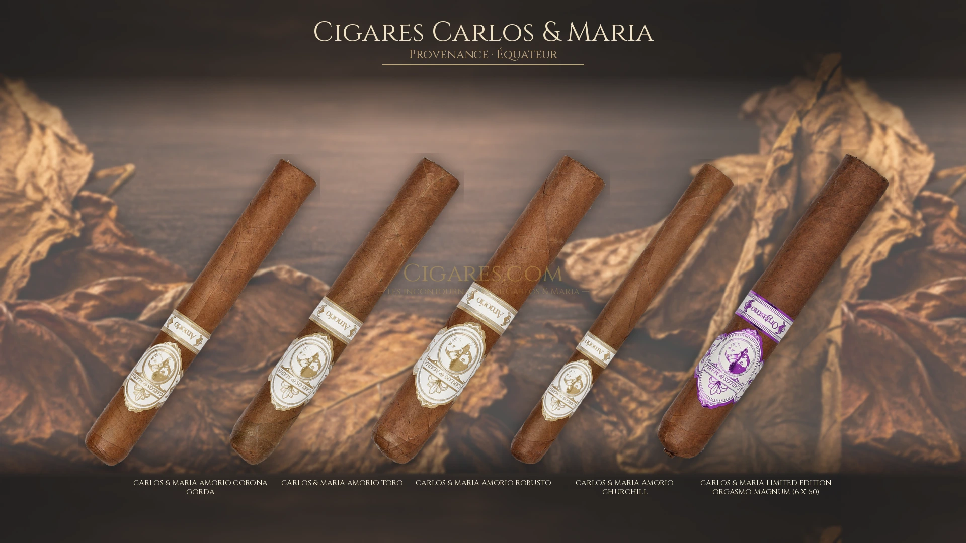 Top 5 cigares Carlos & Maria — les plus populaires
