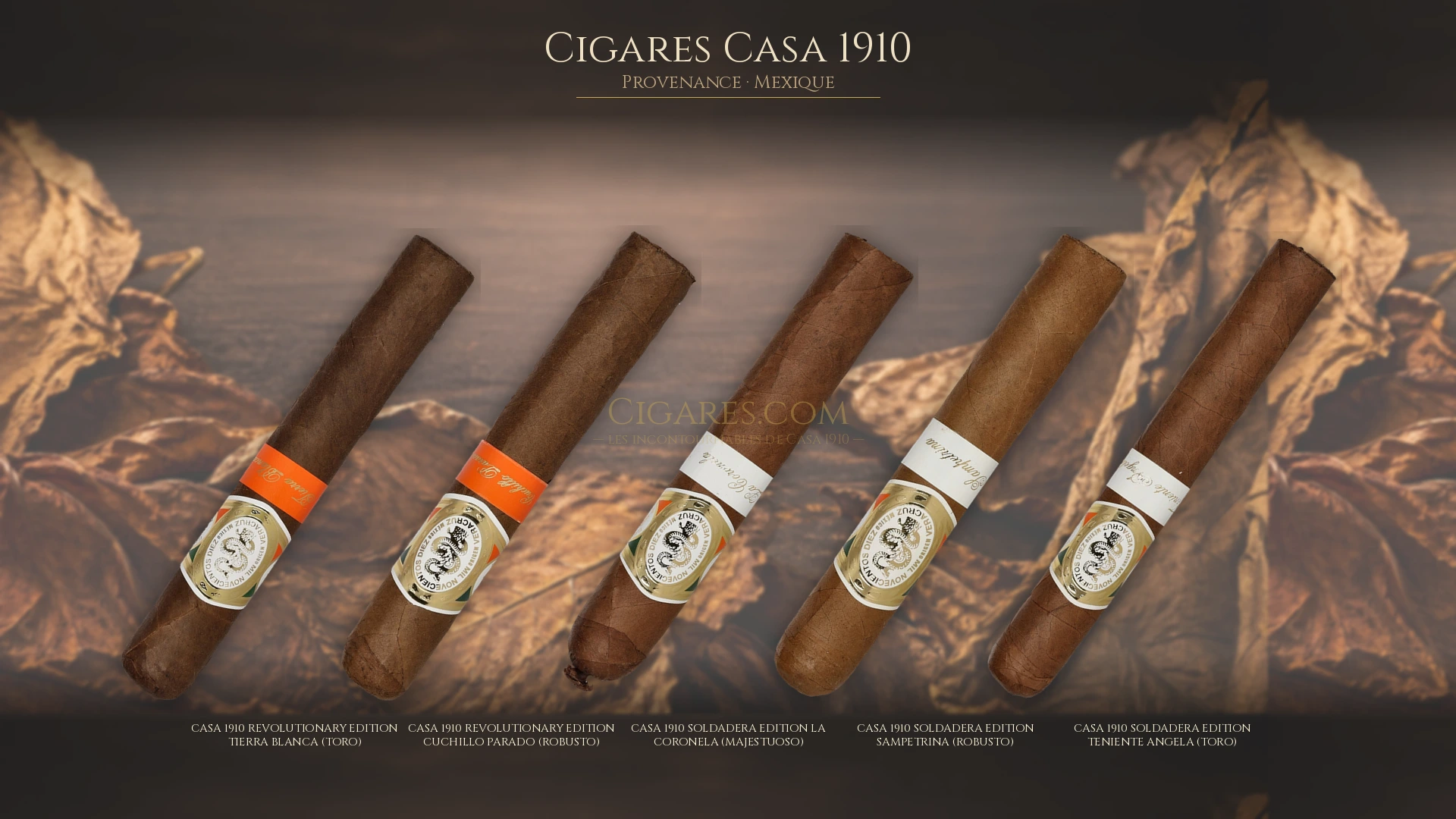 Top 5 cigares Casa 1910 — les plus populaires