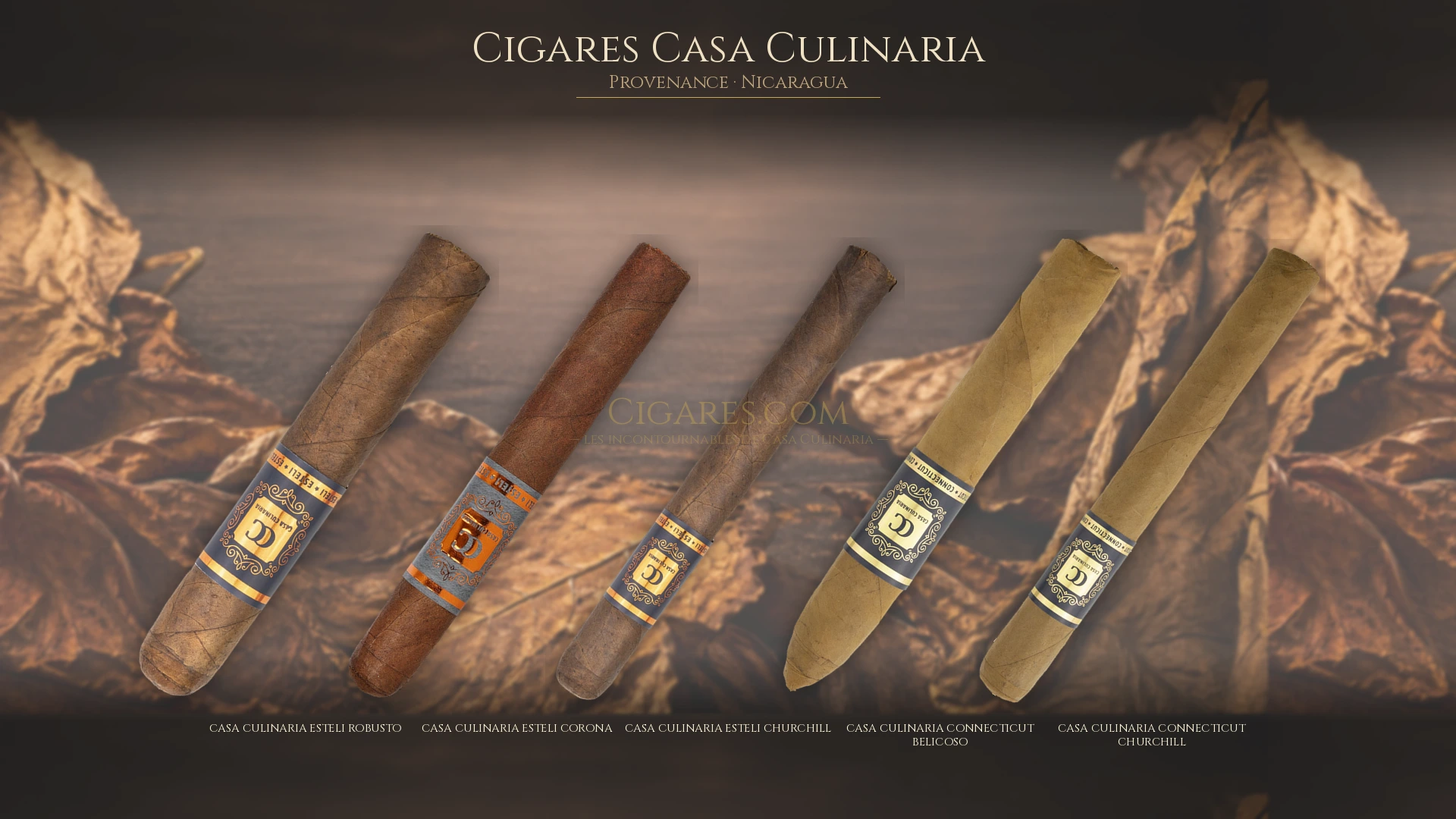 Top 5 cigares Casa Culinaria — les plus populaires