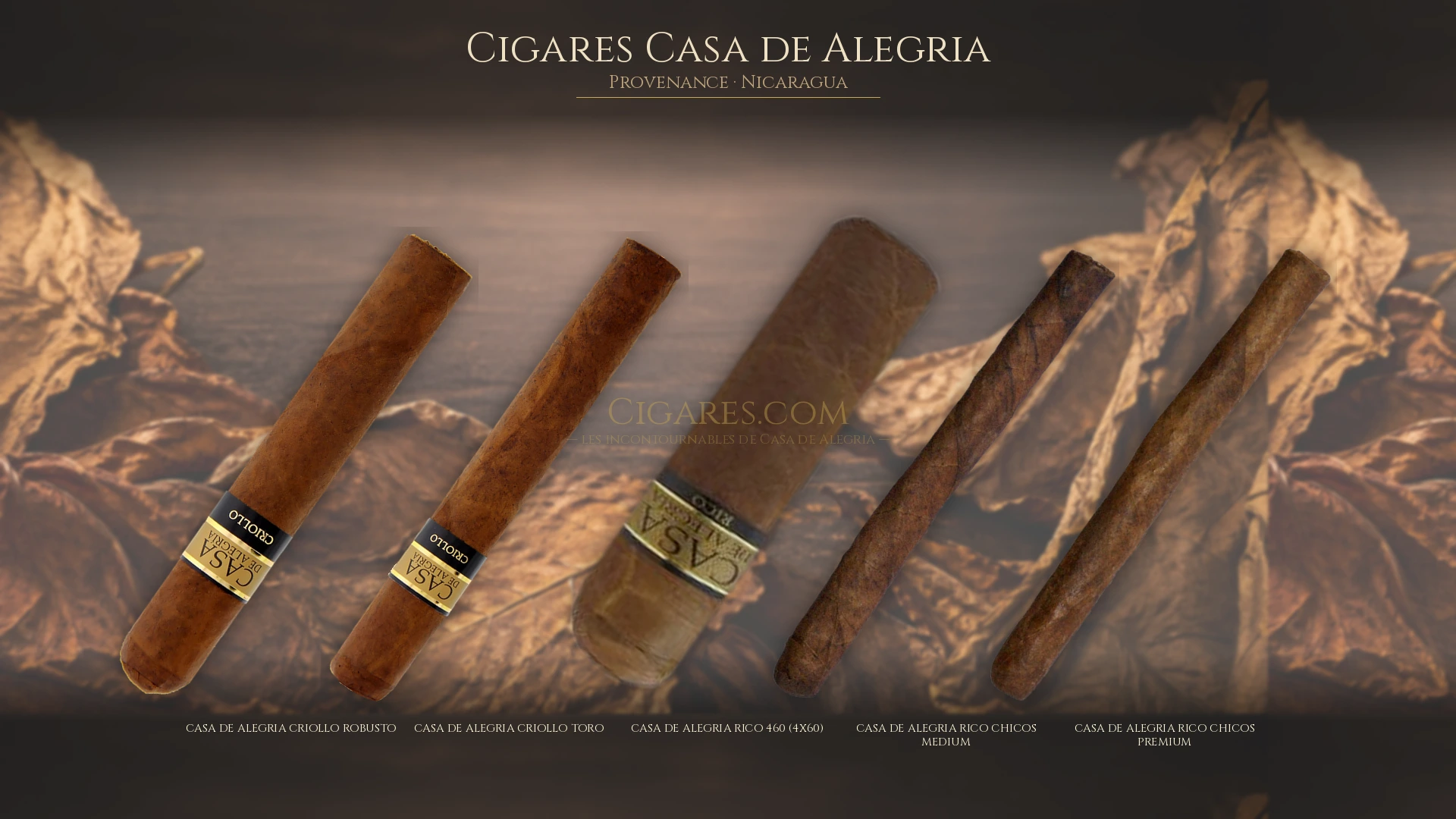 Top 5 cigares Casa de Alegria — les plus populaires