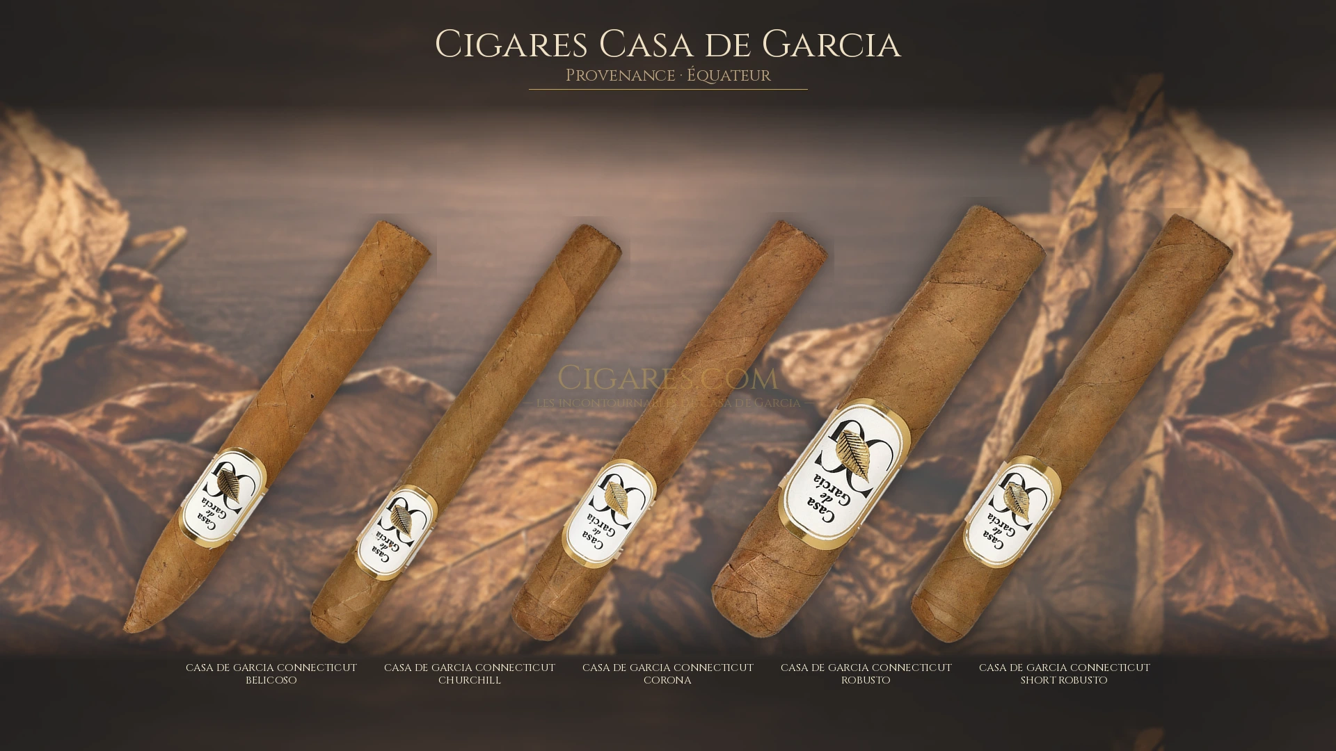 Top 5 cigares Casa de Garcia — les plus populaires