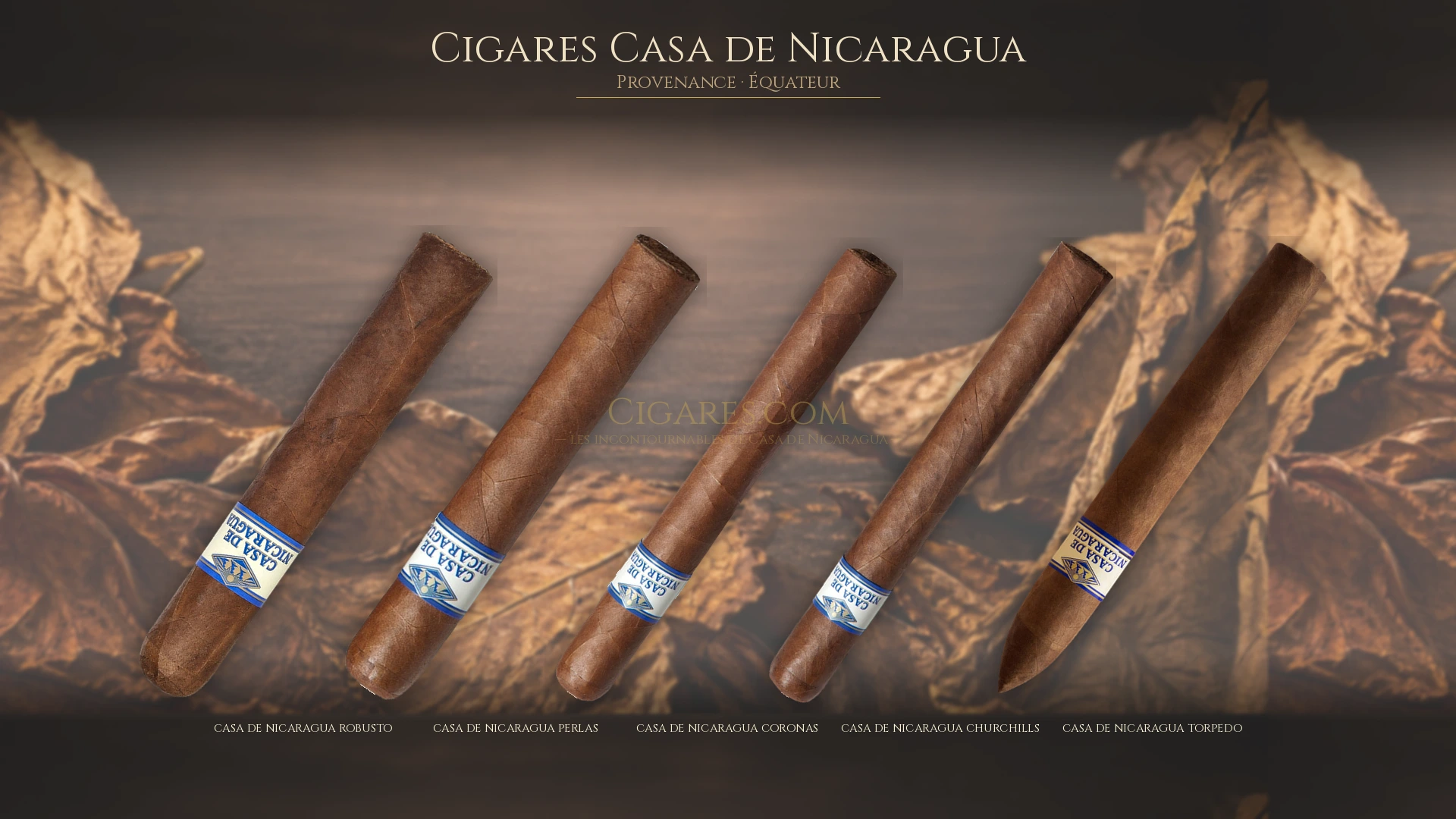Top 5 cigares Casa de Nicaragua — les plus populaires