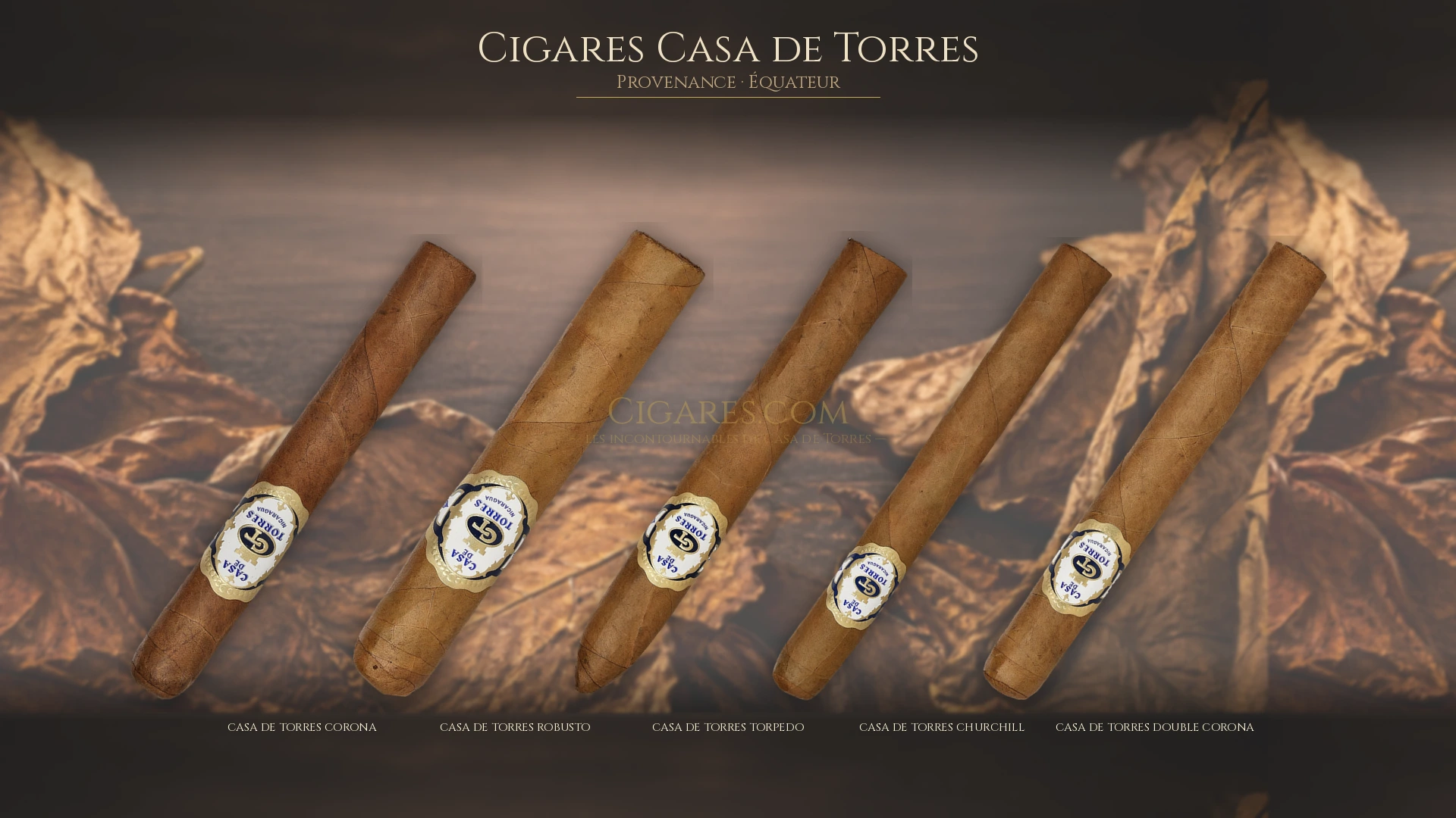 Top 5 cigares Casa de Torres — les plus populaires