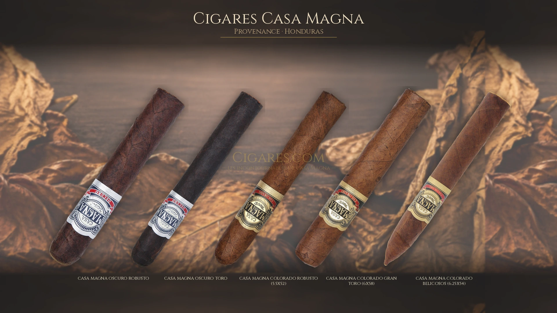 Top 5 cigares Casa Magna — les plus populaires