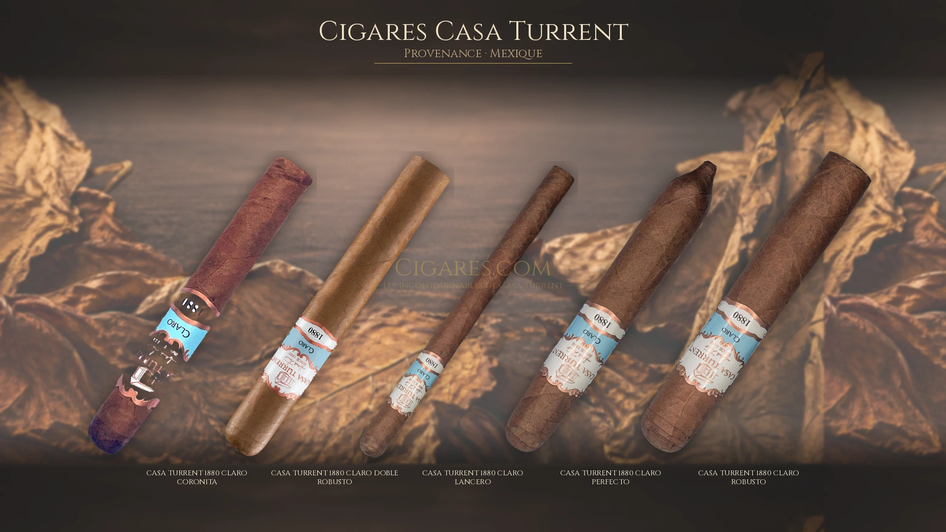Top 5 cigares Casa Turrent — les plus populaires