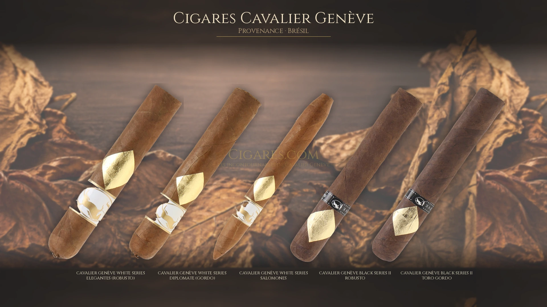 Top 5 cigares Cavalier Genève — les plus populaires