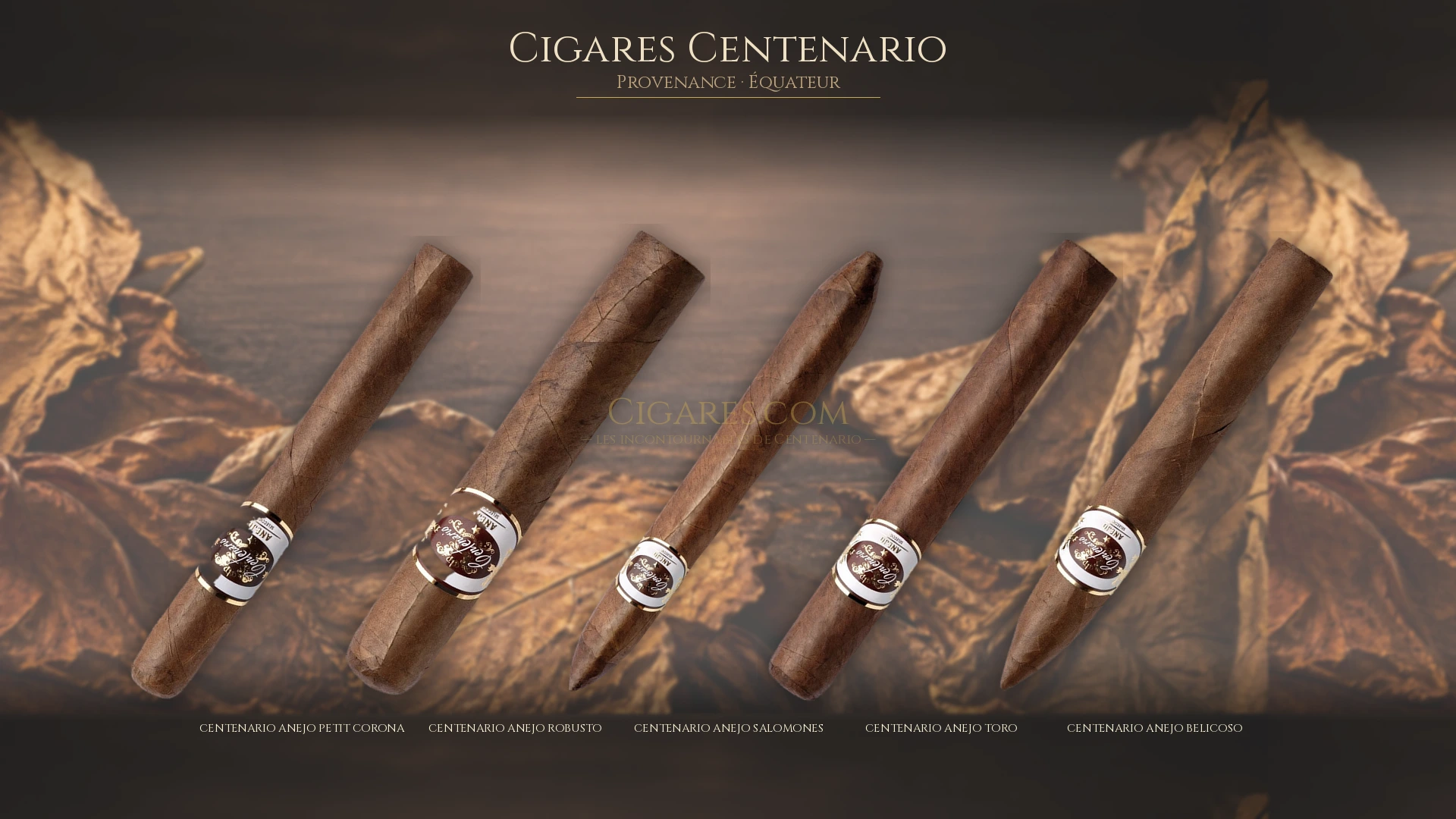 Top 5 cigares Centenario — les plus populaires
