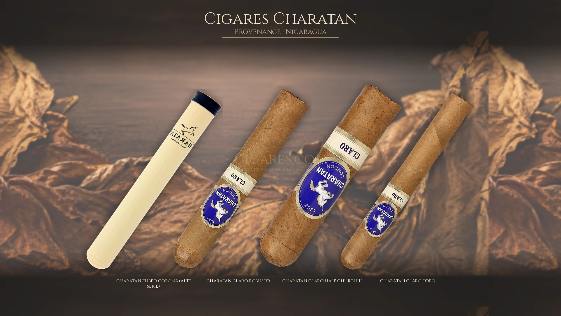 Top 5 cigares Charatan — les plus populaires