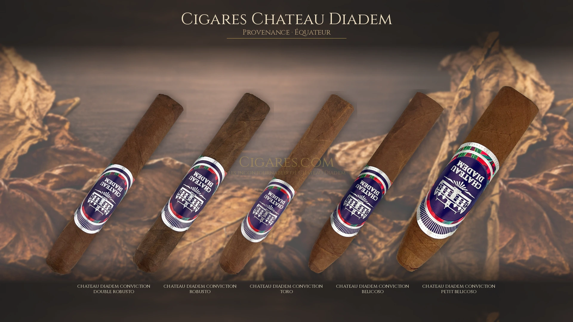 Top 5 cigares Chateau Diadem — les plus populaires