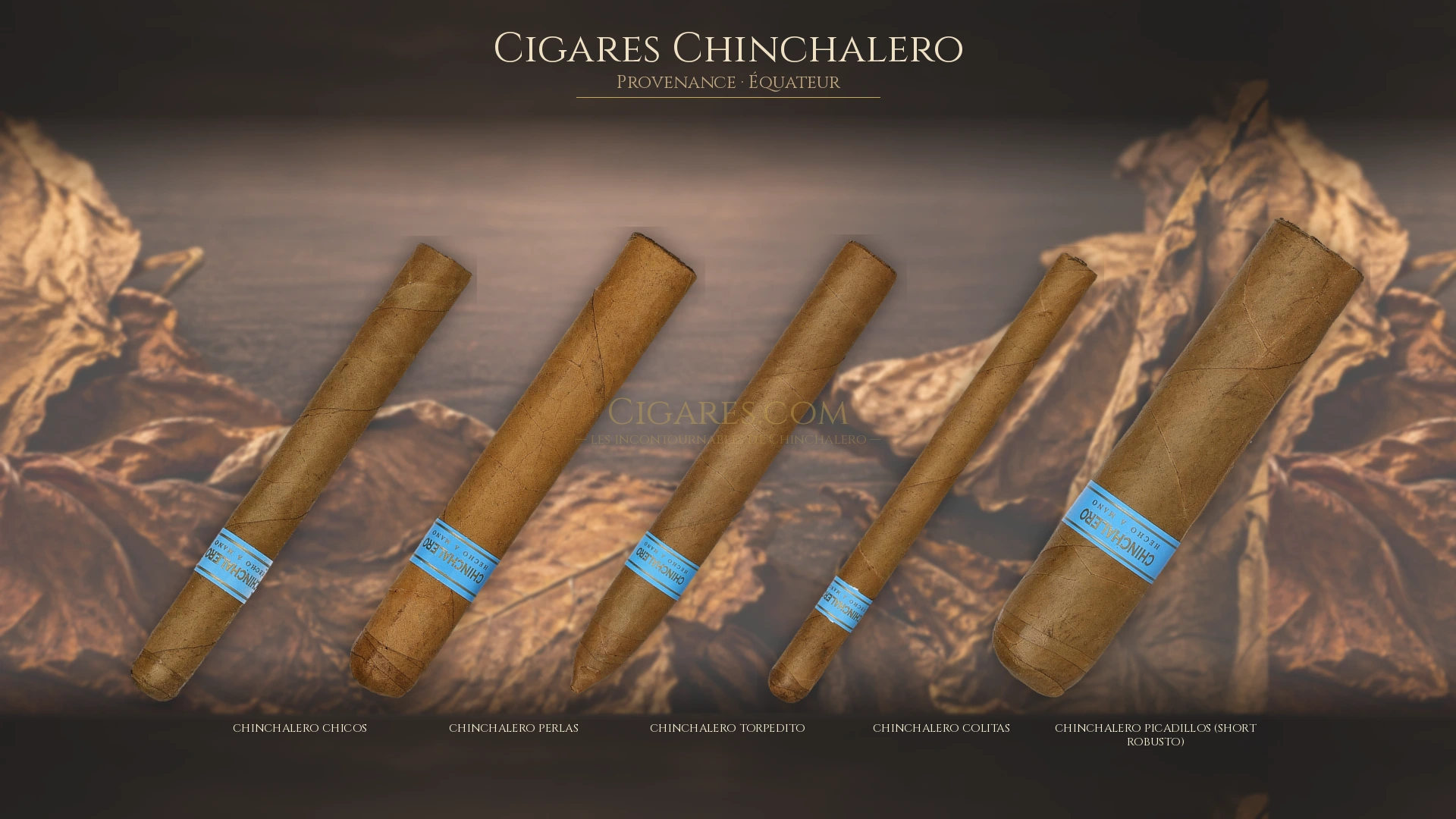 Top 5 cigares Chinchalero — les plus populaires