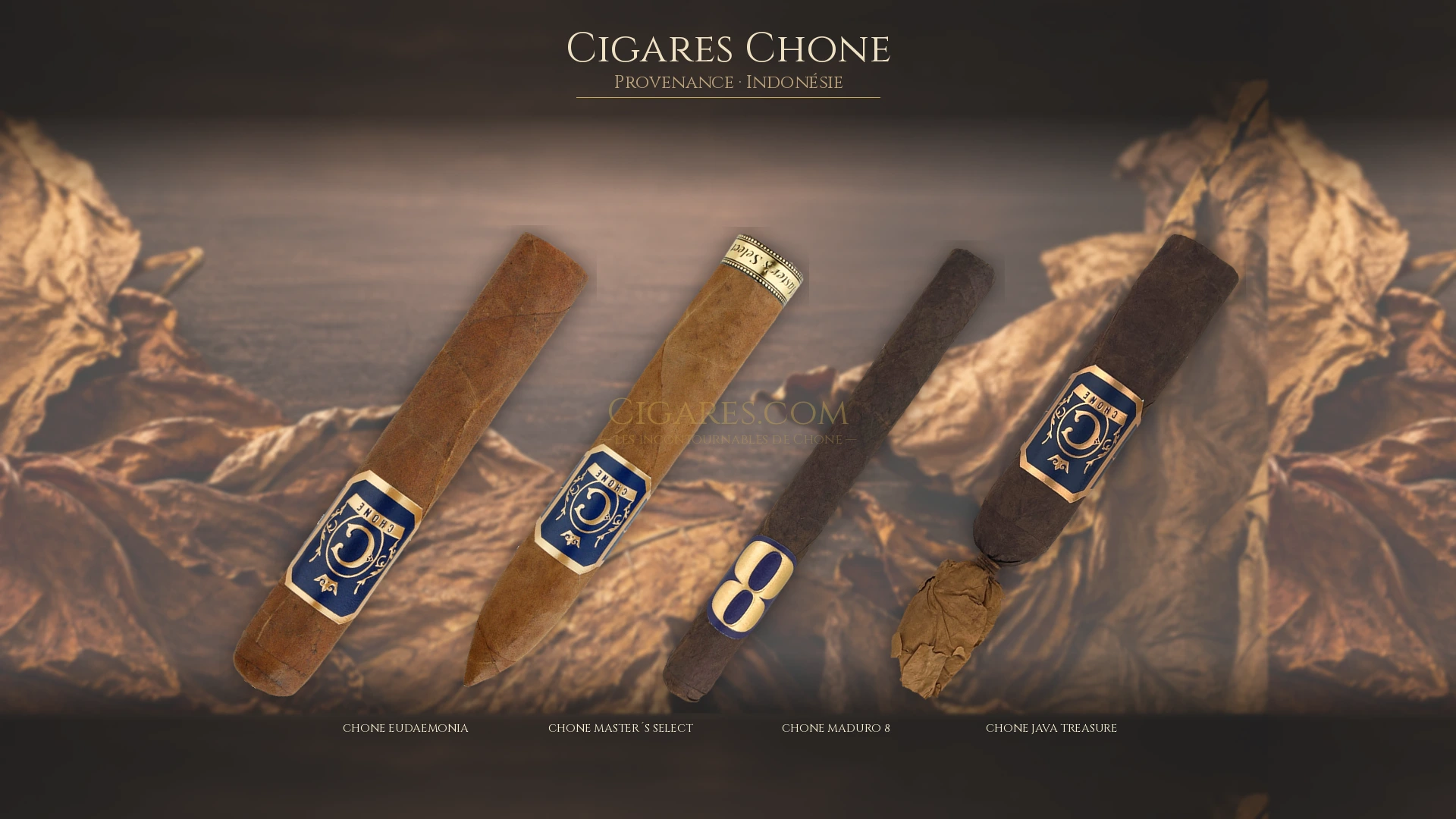 Top 5 cigares Chone — les plus populaires