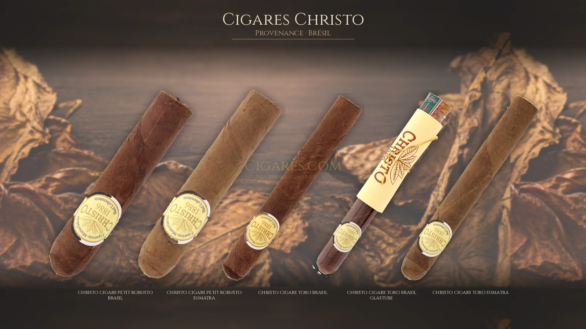 Top 5 cigares Christo — les plus populaires