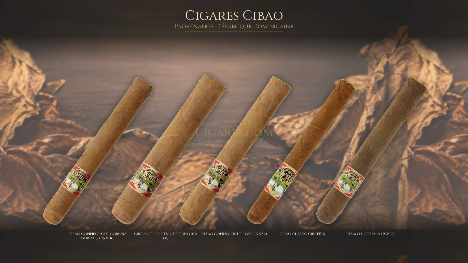 Top 5 cigares Cibao — les plus populaires