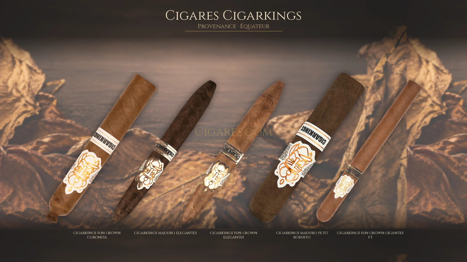 Top 5 cigares Cigarkings — les plus populaires