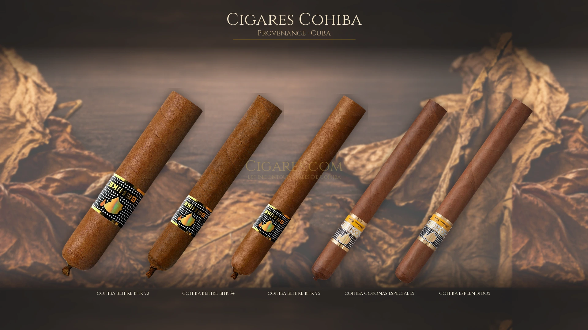 Top 5 cigares Cohiba — les plus populaires