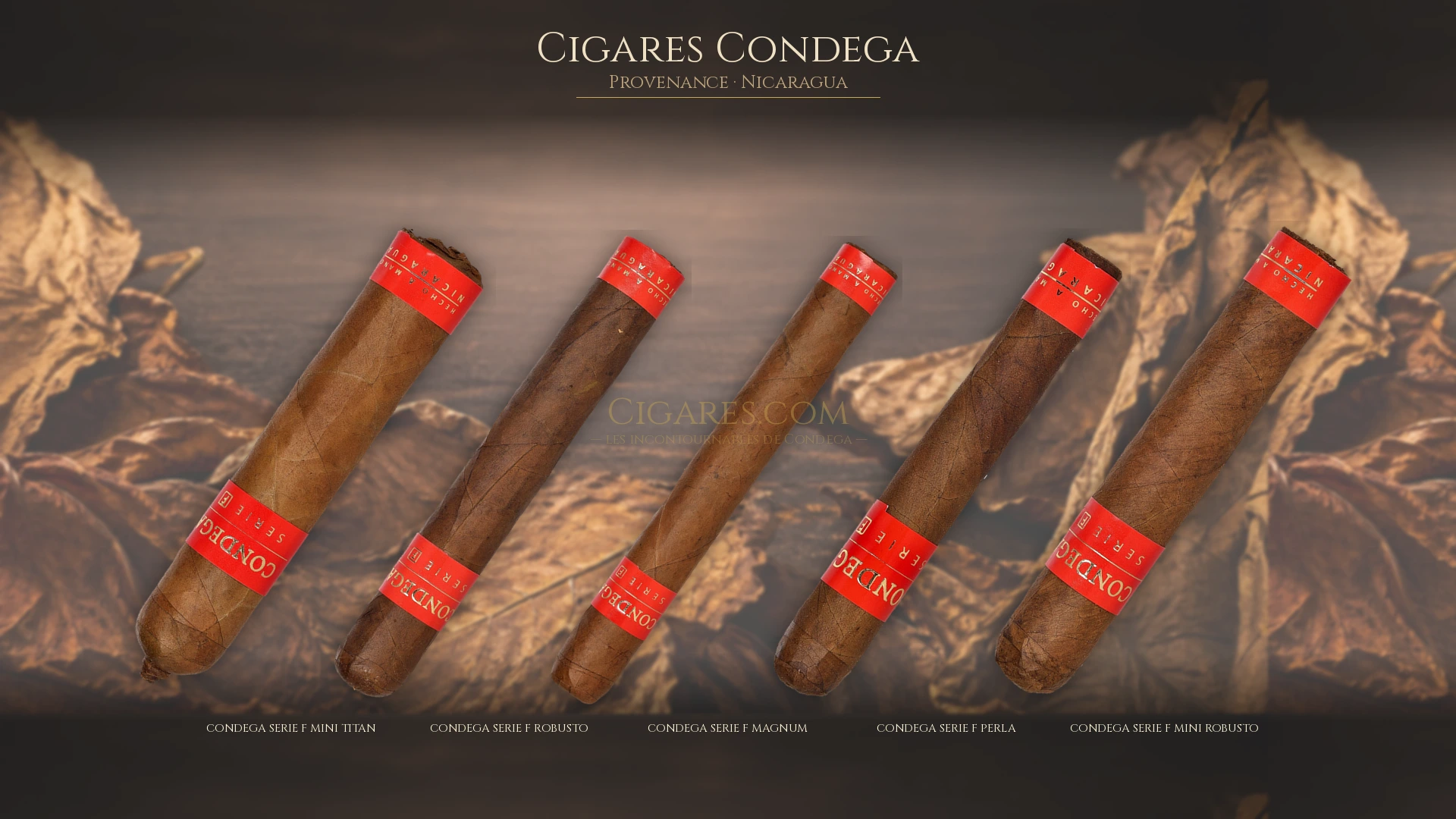 Top 5 cigares Condega — les plus populaires