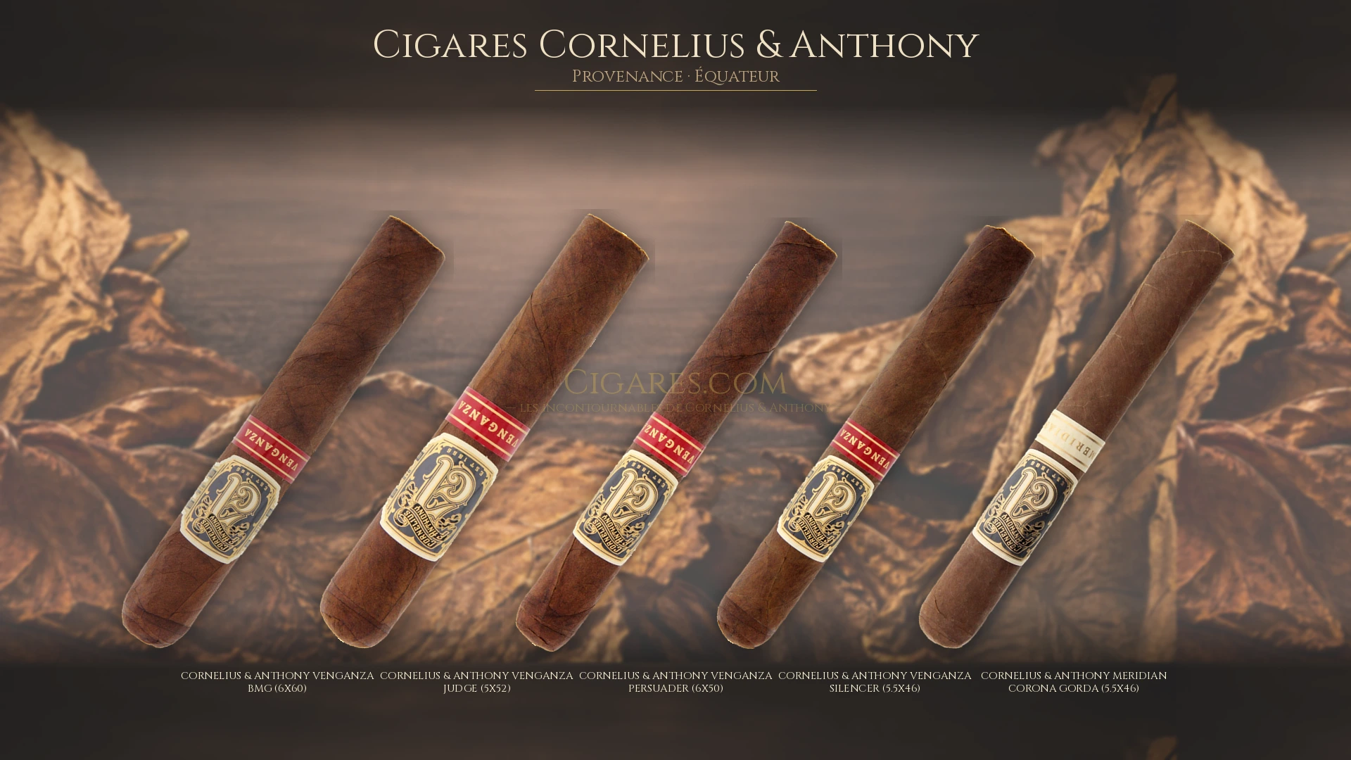 Top 5 cigares Cornelius & Anthony — les plus populaires