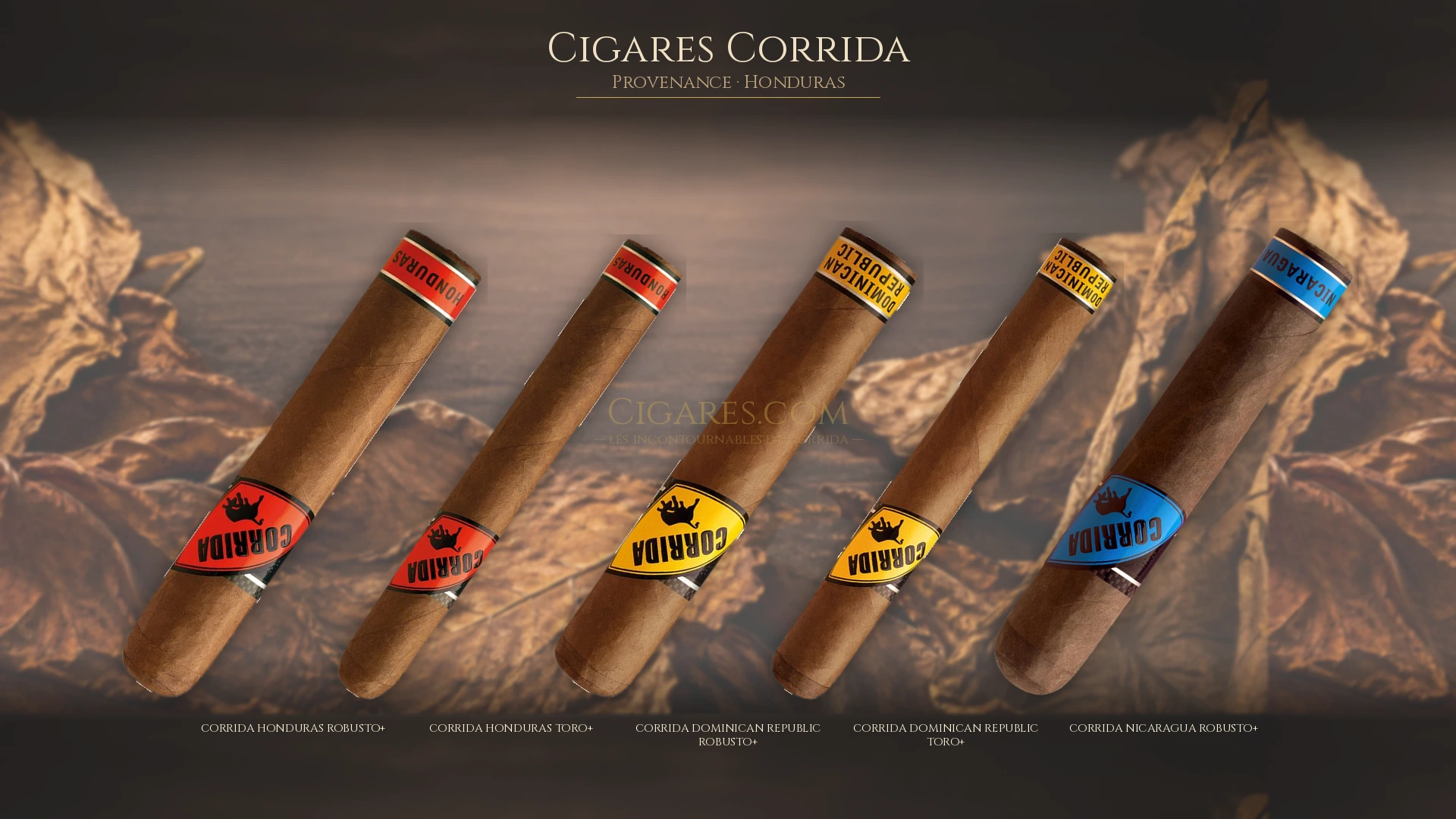 Top 5 cigares Corrida — les plus populaires