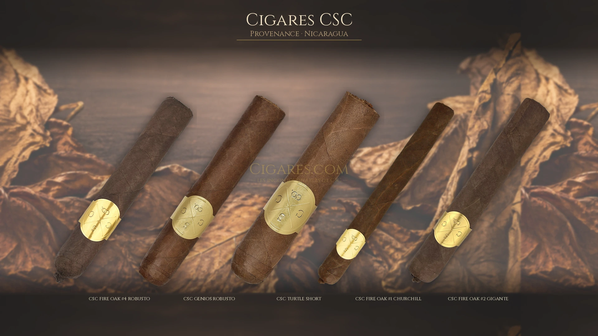 Top 5 cigares CSC — les plus populaires