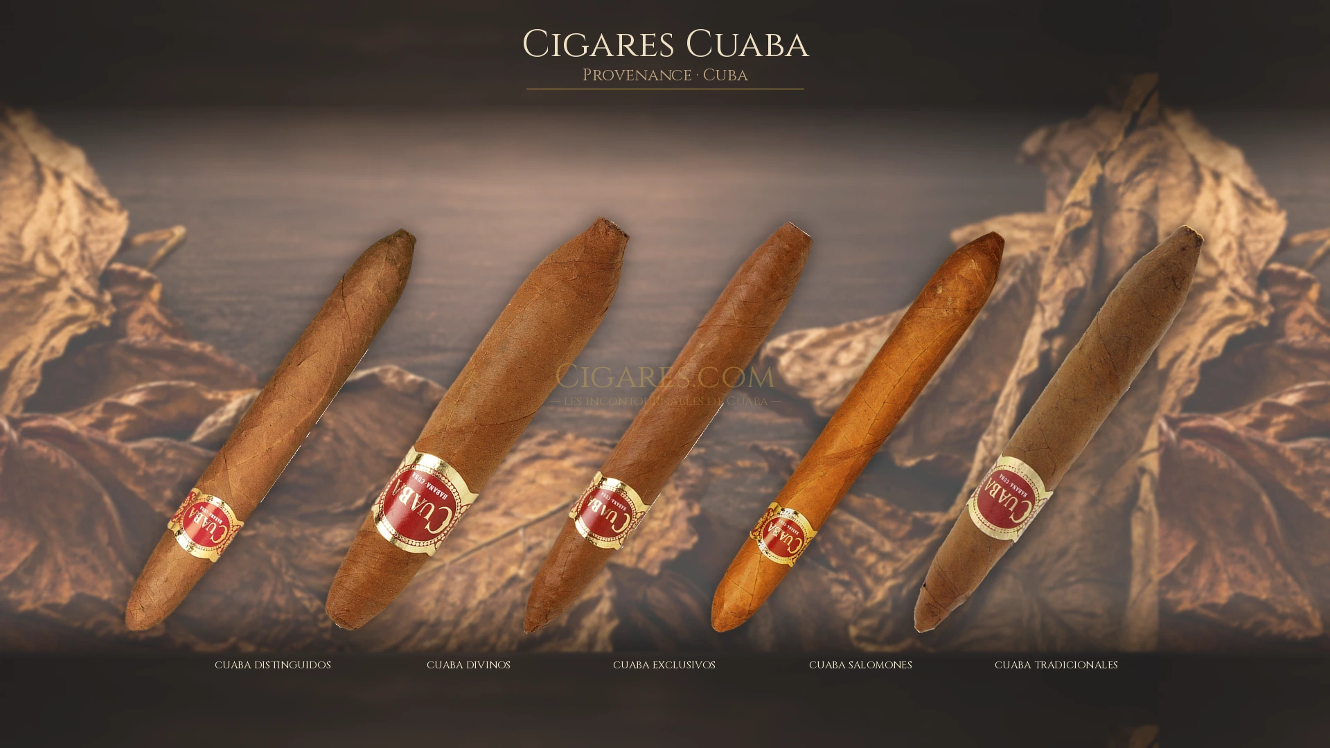 Top 5 cigares Cuaba — les plus populaires