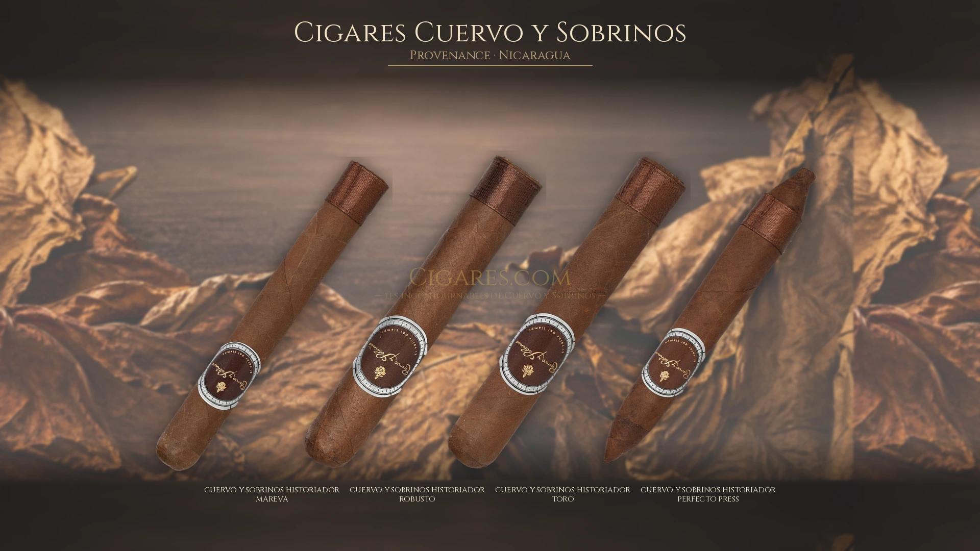 Top 5 cigares Cuervo y Sobrinos — les plus populaires