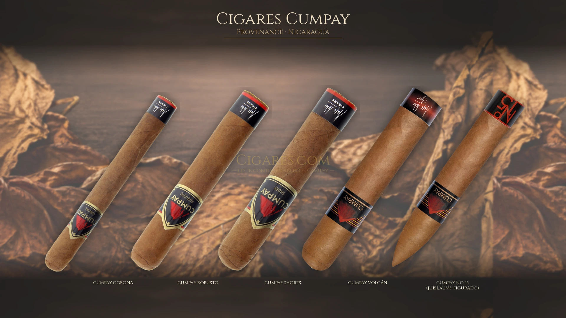 Top 5 cigares Cumpay — les plus populaires