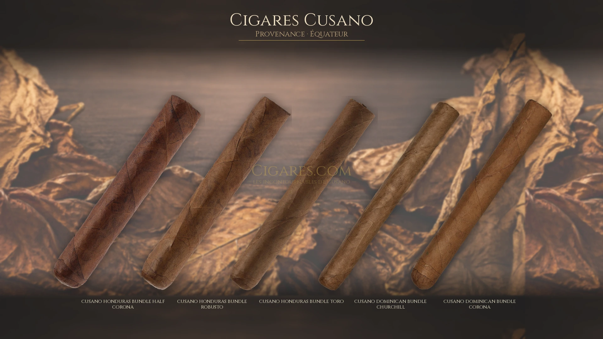 Top 5 cigares Cusano — les plus populaires