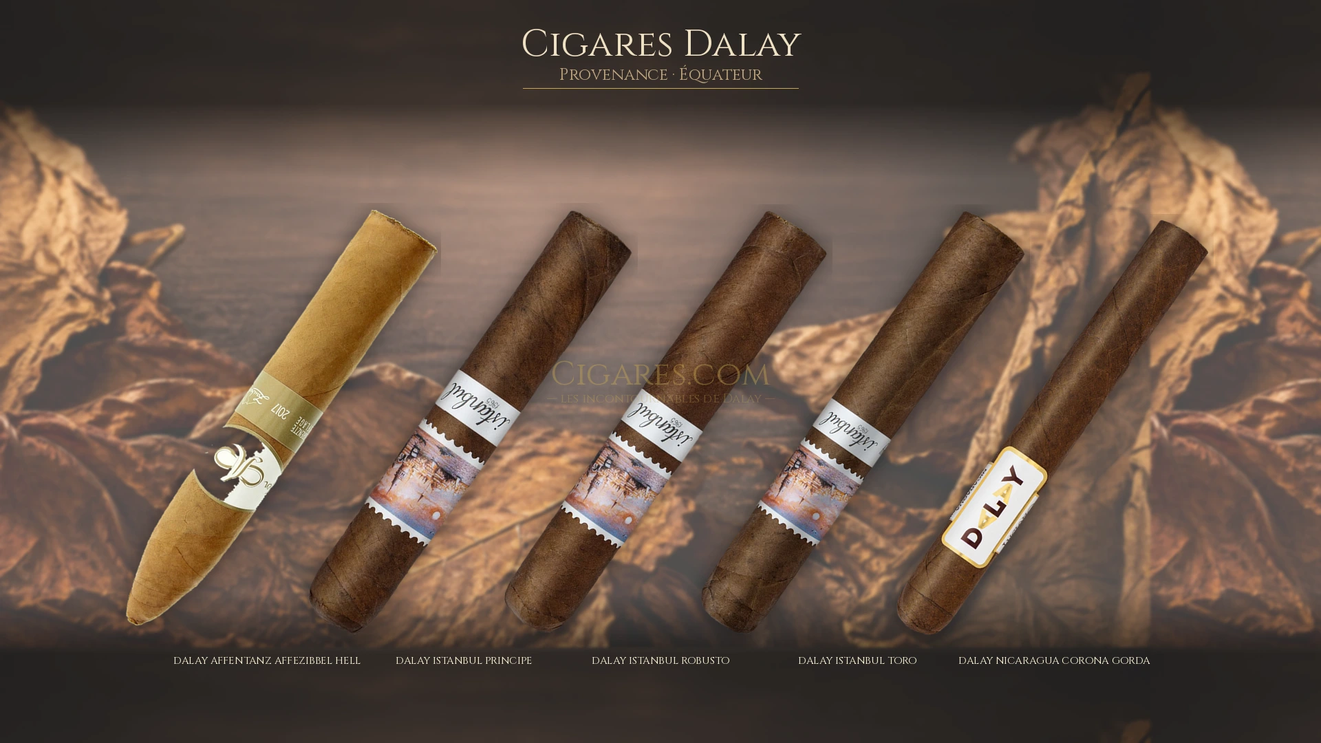Top 5 cigares Dalay — les plus populaires