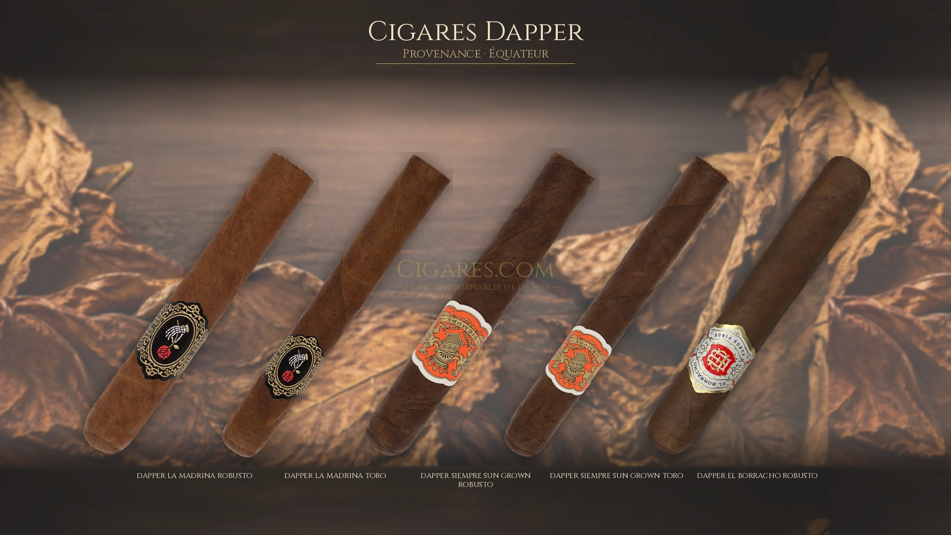 Top 5 cigares Dapper — les plus populaires