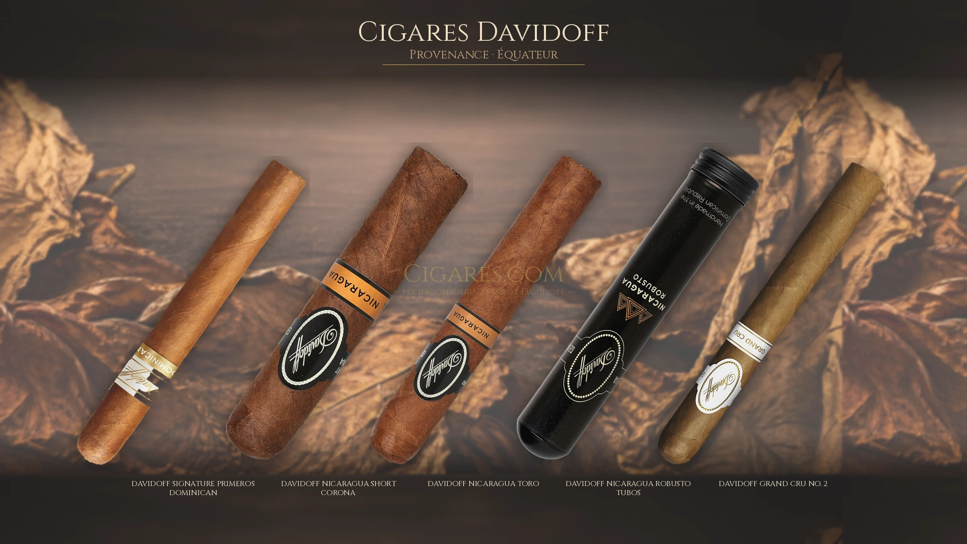 Top 5 cigares Davidoff — les plus populaires